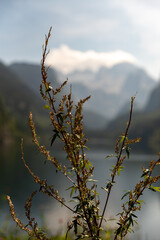 Vordere Gosausee in Austria