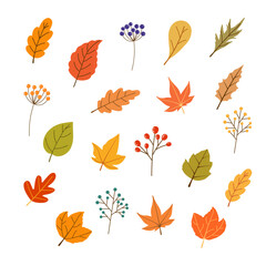 Autumn leaves backgrounds