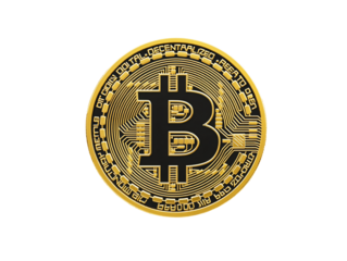 a gold and black coin