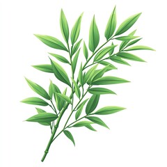 Fototapeta premium Green bamboo leaves isolated on white background.