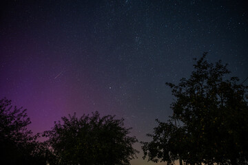 Naklejka premium Sterne