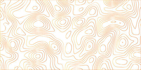 Topographic canyon geometric map relief texture with curved layers and shadow. abstract White background with a beautiful pattern, Topographic contour lines vector map seamless pattern vector.