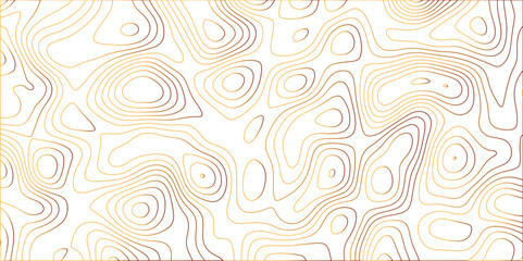 Topographic canyon geometric map relief texture with curved layers and shadow. abstract White background with a beautiful pattern, Topographic contour lines vector map seamless pattern vector.
