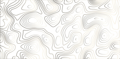 Topographic canyon geometric map relief texture with curved layers and shadow. abstract White background with a beautiful pattern, Topographic contour lines vector map seamless pattern vector.