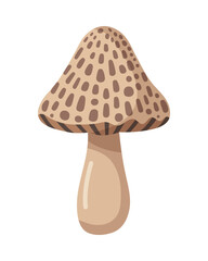 Cute Vector Morel Mushroom