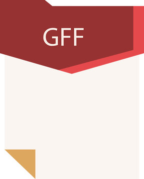 GFF File format minimal icon