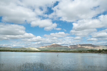 Lake view in spring. Tent camping in Nallıhan bird sanctuary. Trekking by the lake. Nallıhan bird sanctuary, which is on the migration route of birds. Nallıhan lake. Magnificent views from Nallıhan la