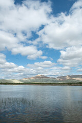Lake view in spring. Tent camping in Nallıhan bird sanctuary. Trekking by the lake. Nallıhan bird sanctuary, which is on the migration route of birds. Nallıhan lake. Magnificent views from Nallıhan la