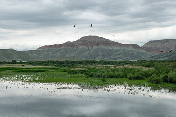 Lake view in spring. Tent camping in Nallıhan bird sanctuary. Trekking by the lake. Nallıhan bird sanctuary, which is on the migration route of birds. Nallıhan lake. Magnificent views from Nallıhan la