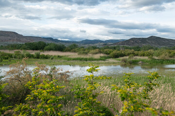 Fototapeta premium Lake view in spring. Tent camping in Nallıhan bird sanctuary. Trekking by the lake. Nallıhan bird sanctuary, which is on the migration route of birds. Nallıhan lake. Magnificent views from Nallıhan la