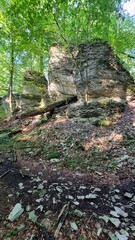 Naturschutzgebiet Bielsteinhöhle 