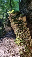 Naturschutzgebiet Bielsteinhöhle 