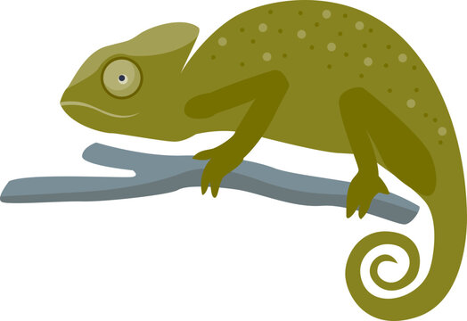 Cartoon chameleon on a branch, symbolizing adaptability and change.