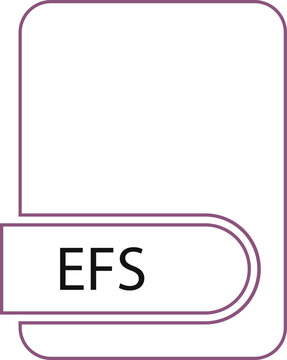 recommend clip art: EFS File format icon black outline and light color