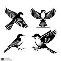 Fototapeta premium set of bird Isolated vector graphic illustration design in black and white silhouette for clip art templates