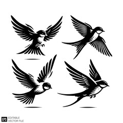 Obraz premium set of bird Isolated vector graphic illustration design in black and white silhouette for clip art templates