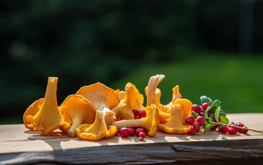 Mushrooms and berries