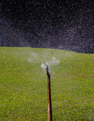 Mist sprayed on the lawn