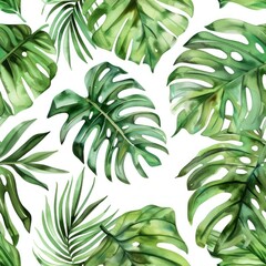 seamless pattern palm monstera tropical leaf watercolor on white background illustration