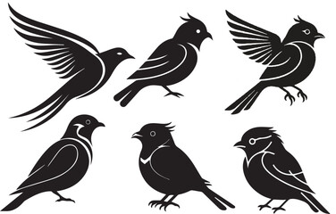 Set of Bird silhouette vector illustration design