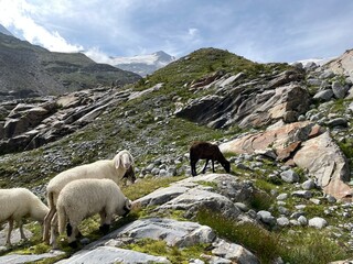 Wanderung Innergschlöß - Felsenkapelle - Schlatenkees - Osttirol