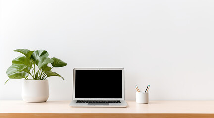 Minimalist home office desk setup with a sleek laptop and potted plant