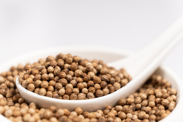Coriander Grains in a Spoon on a White Background.