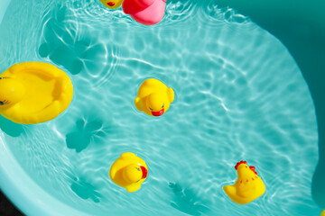 Rubber ducks in blue water