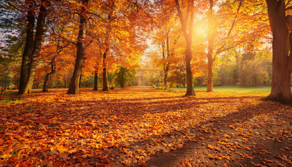 Fototapeta premium 秋の公園が映し出されています。地面は赤やオレンジ色の落ち葉で覆われ、木々からの柔らかな陽光が差し込んでいます。木々の影が長く伸び、温かみのある秋の風景が広がり、穏やかで静かな雰囲気が感じられます。generative AI
