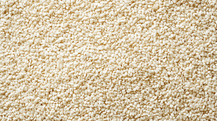 Full screen top view of white sesame seeds with fine and uniform texture