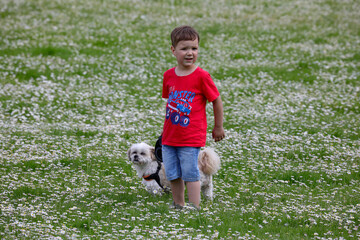 Junge mit Hund im Park