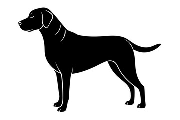 black dog silhouette