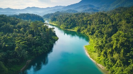 Obraz premium Scenic Southeast Asian river winding through dense jungle, peaceful and untouched nature
