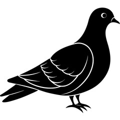 illustration of a dove