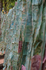 Money gifts for merit at Khao Khitchakut National Park, Chanthaburi, Thailand.