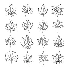 set of autumn leaves vector