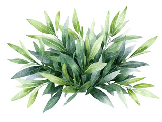A vibrant green plant with lush leaves, perfect for enhancing any natural setting or interior decor.
