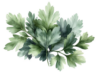 Vibrant green foliage showcasing detailed leaves, ideal for natural and culinary themed designs.