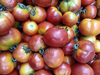 The tomato is the edible berry of the plant Solanum lycopersicum, commonly known as the tomato plant. The species originated in western South America, Mexico, and Central America. 
