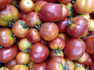 The tomato is the edible berry of the plant Solanum lycopersicum, commonly known as the tomato plant. The species originated in western South America, Mexico, and Central America. 