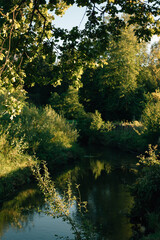 a river and lots of trees around