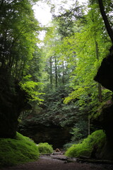 wooded valley hiking trail