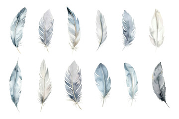 Set of watercolor white bird feathers png. White feathers on an isolated background. White watercolor bird feathers, elements for designs. Vector illustration
