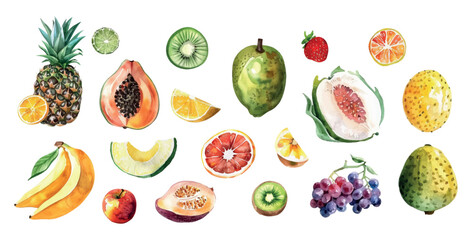 Watercolor tropical fruit collection png. Hand drawn fresh products design elements and transparent background. Vector illustration.