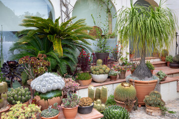Jardin botanique de Blanes sur la Costa Brava en Espagne 