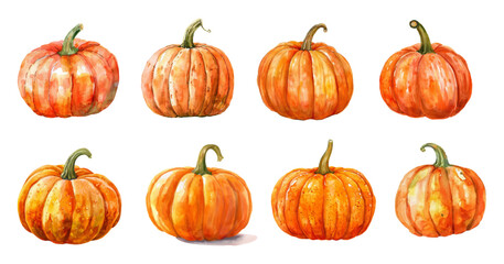 Watercolor collection of orange pumpkins png. Vector illustration of pumpkin in vintage watercolor style. Vector illustration.