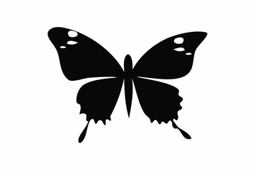 Silhouette Of A Butterfly