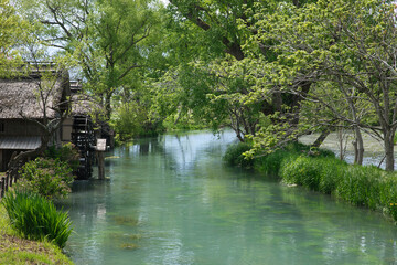 大王わさび農場水車