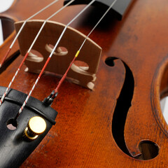 Old violin on a white background