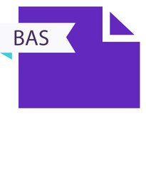 BAS File format icon roe color fill